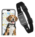 Collar Rastreador GPS C09 para mascotas — dispositivo GPS tracker