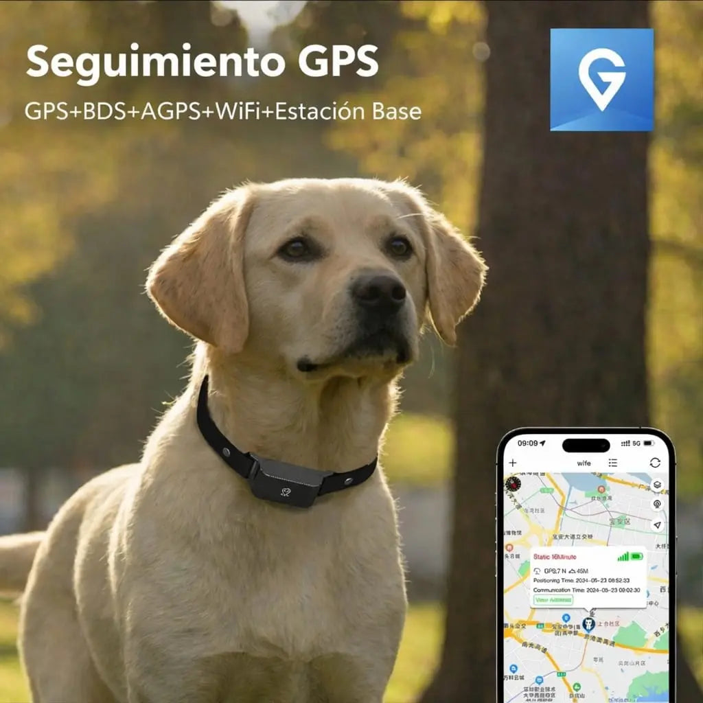 GPS Tracker C09 para perros y gatos — rastreo en tiempo real