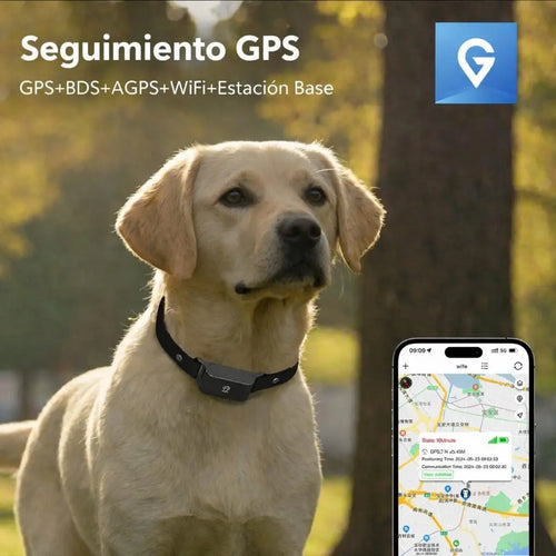GPS Tracker C09 para perros y gatos — rastreo en tiempo real