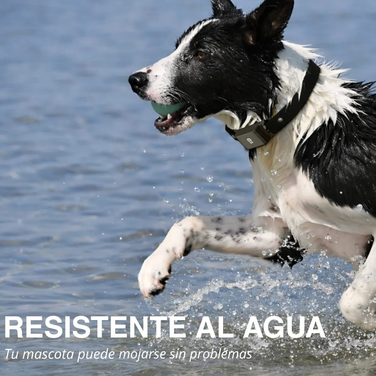 GPS C09 para mascota — batería 400mAh duración hasta 48 horas