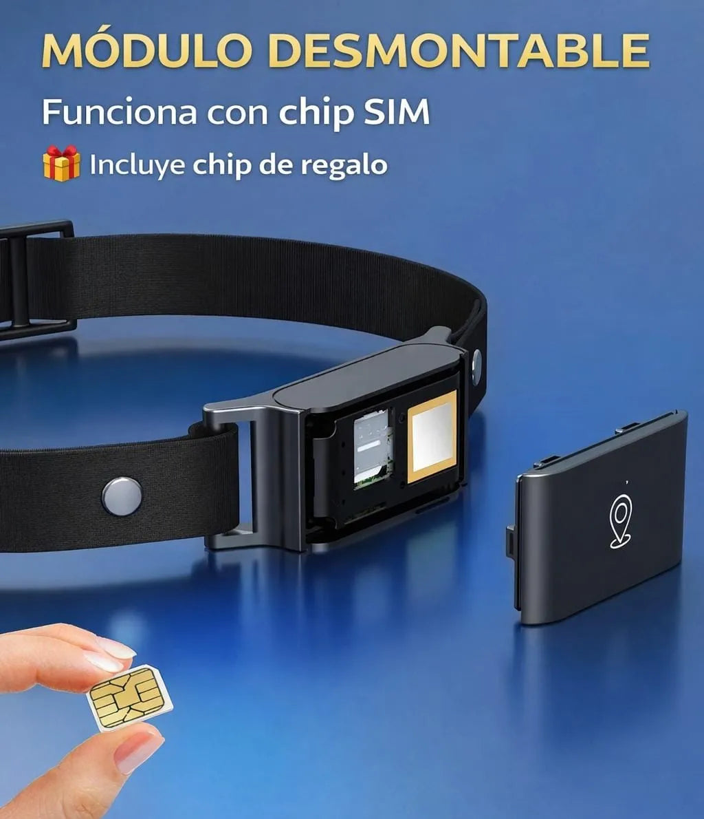 App 365GPS en celular rastreando mascota en tiempo real — collar GPS C09